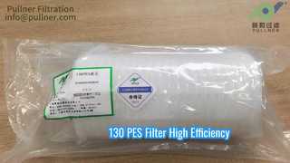 130 PES filter  