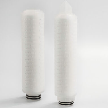 PTFE Membrane Filter Cartridge with Hydrophobic and Hydrophilic PTFE Membrane for Corrosion Resistant Filtration